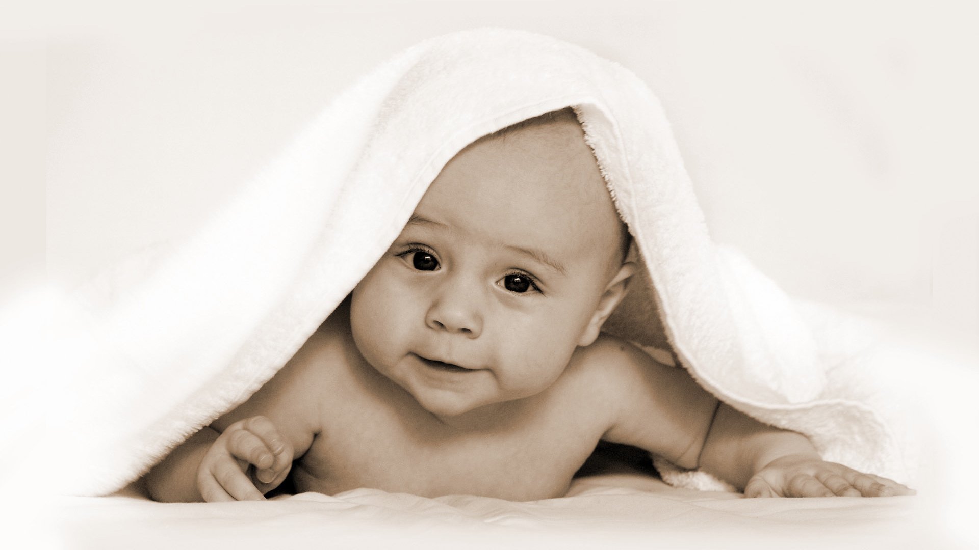捐卵代怀人工授精和试管婴儿哪个成功率高